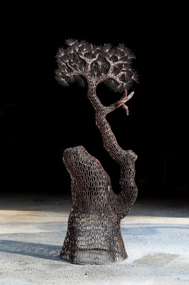 Lee Gil Rae, Millennium Pine Tree 2022-10, 2022